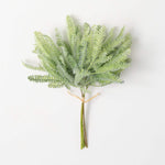 Mini Mint Green Fern Bush