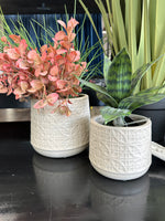 Textured Oatmeal Planters