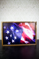 American Flag Sign (July)