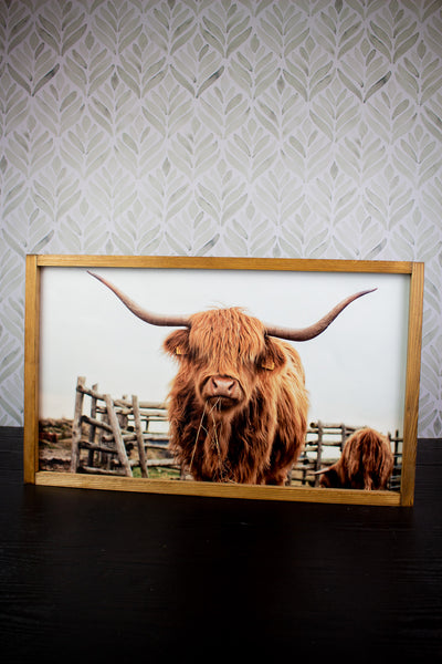 Dogall Highland Cow