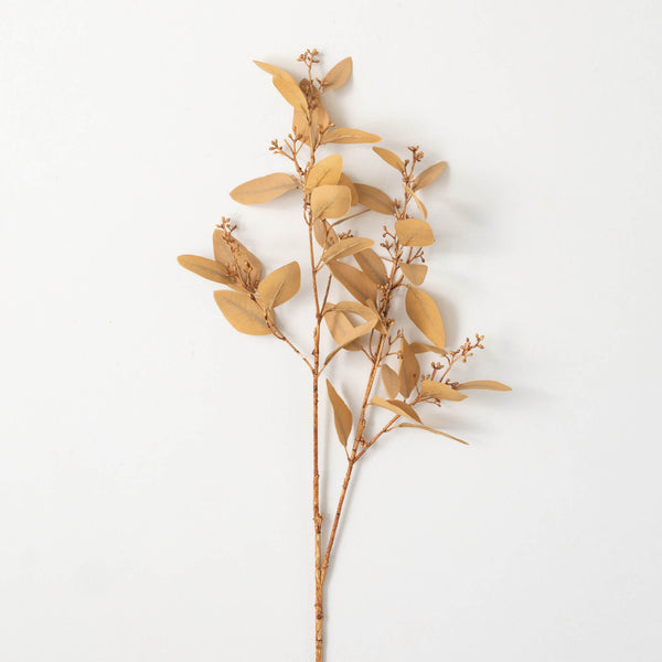Soft Amber Brown Eucalytus