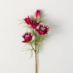 Mini Protea Spray