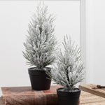 FLOCKED TABLETOP PINE TREE ASSORTMENT