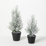 FLOCKED TABLETOP PINE TREE SET ( Each Piece Sold Separate)