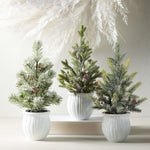 POTTED PINE TREE Asst. of 3 (Sold Separate)