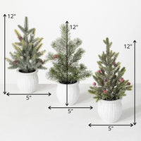 POTTED PINE TREE Asst. of 3 (Sold Separate)