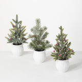 POTTED PINE TREE Asst. of 3 (Sold Separate)