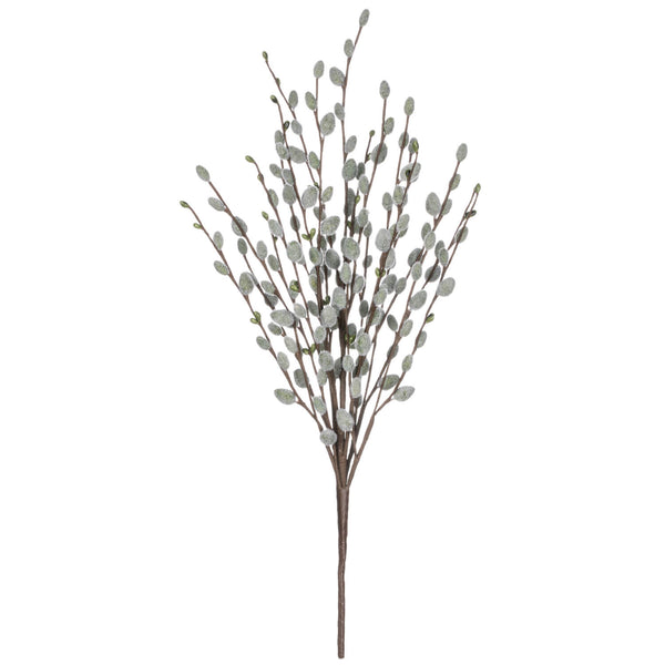 Pussywillow Bush