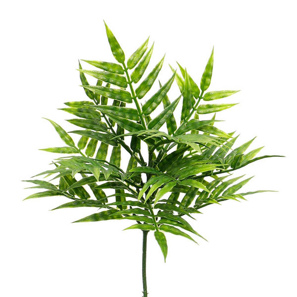 Fern Leaf Bush 11"