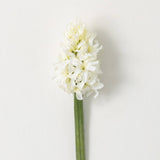 Hyacinth Floral Stem