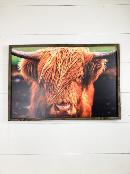 Highland Cow (Color) Light Frame 2x3