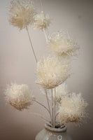 White Glitter Allium Branch