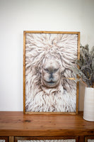 Alpaca Llama Squish Face