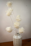 White Glitter Allium Branch