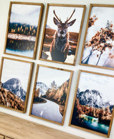 Wander Collection (Mountain Lake Deer)
