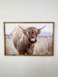 Nutmeg Highland Cow