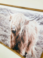 Trotter Highland Cow