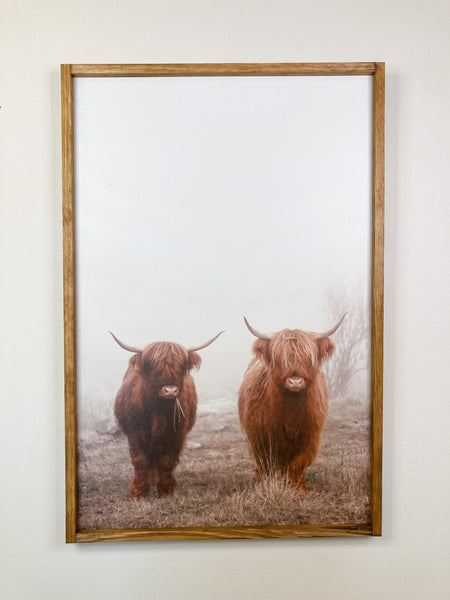 Archie & Beauty Highland Cow